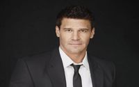 David Boreanaz